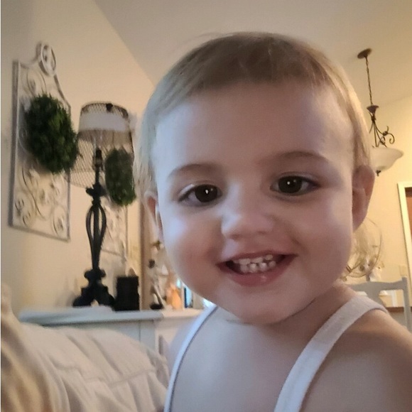 Cropped,  Easel,  button fly, Red Bean - Picture 6 of 7